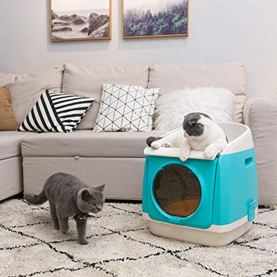 Top Entry Cat Litter Boxes To Help Keep Your Home Clean! – Meow As Fluff