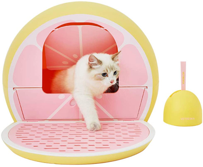 Stylish And Fun Litter Boxes