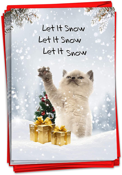Cat Christmas Cards