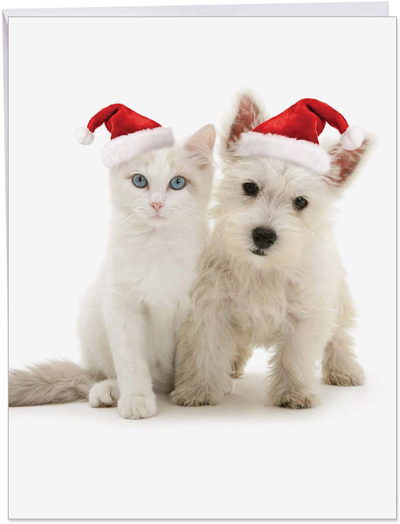 Cat Christmas Cards