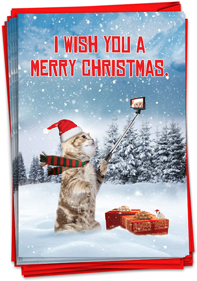 Cat Christmas Cards