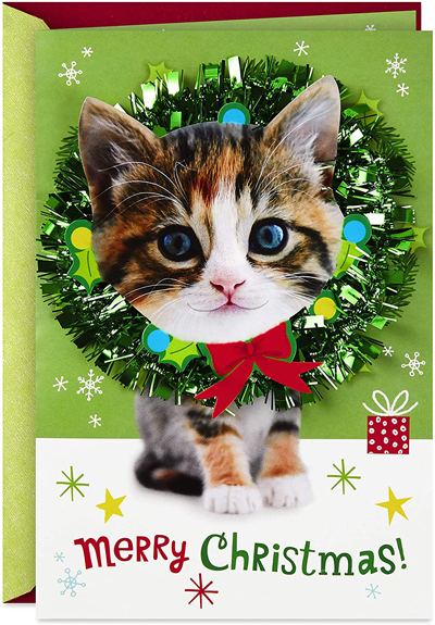 Cat Christmas Cards