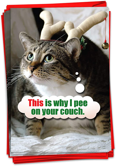 Cat Christmas Cards