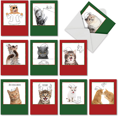 Cat Christmas Cards