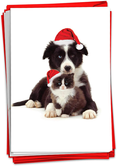 Cat Christmas Cards