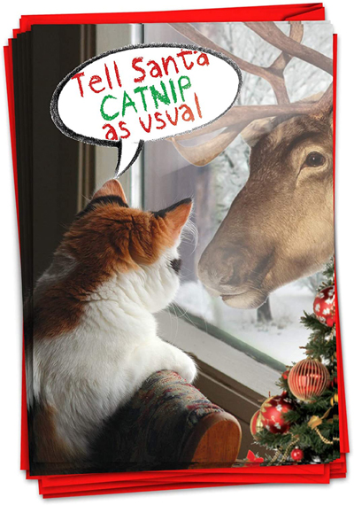 Cat Christmas Cards