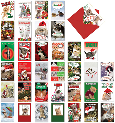 Cat Christmas Cards