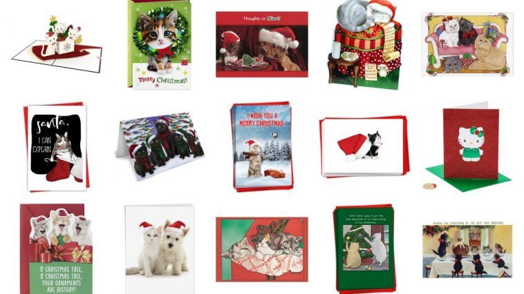 Cat Christmas Cards feature