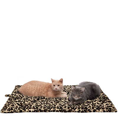 leopard print cat supplies