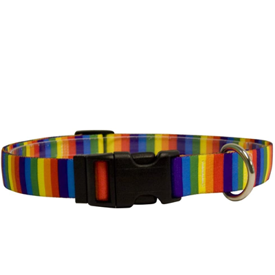 Colorful Rainbow Cat Toys, Caves, Beds, Collars, Tunnels, Scratchers ...