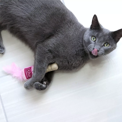 Valentine's Day Cat Toys, Collars, Scratchers, Houses, Beds, And Bowls