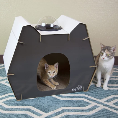Cardboard Cat Houses