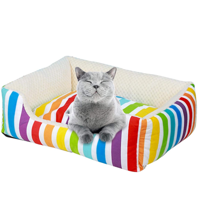 Rainbow Cat Toys, Caves, Beds, Collars, Tunnels, Scratchers