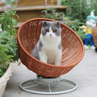 Rattan And Wicker Beds, Cat Trees, Scratching, Posts, And Caves