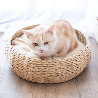 Rattan And Wicker Beds, Cat Trees, Scratching, Posts, And Caves