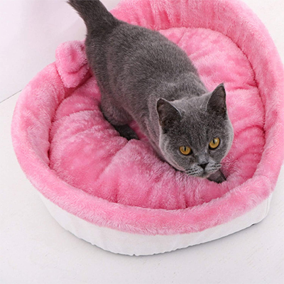 Valentine's Day Cat Toys, Collars, Scratchers, Houses, Beds, And Bowls