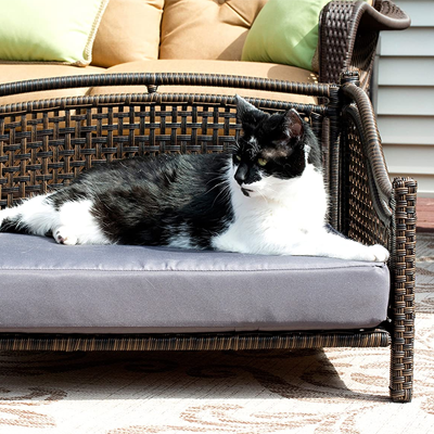 Rattan And Wicker Beds, Cat Trees, Scratching, Posts, And Caves