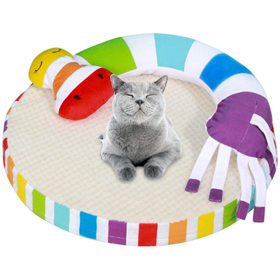 Rainbow Cat Toys, Caves, Beds, Collars, Tunnels, Scratchers