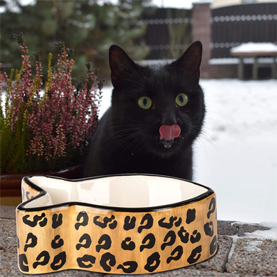 leopard print cat supplies