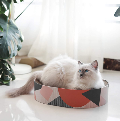 cat scratcher bed