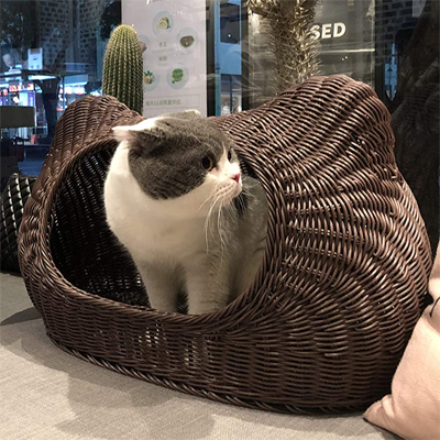 Rattan And Wicker Beds, Cat Trees, Scratching, Posts, And Caves