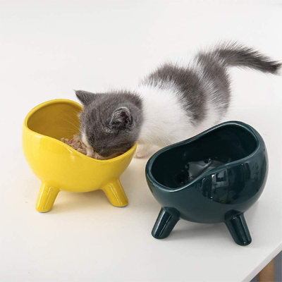 Ceramic Cat Bowls