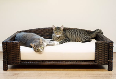Rattan And Wicker Beds, Cat Trees, Scratching, Posts, And Caves