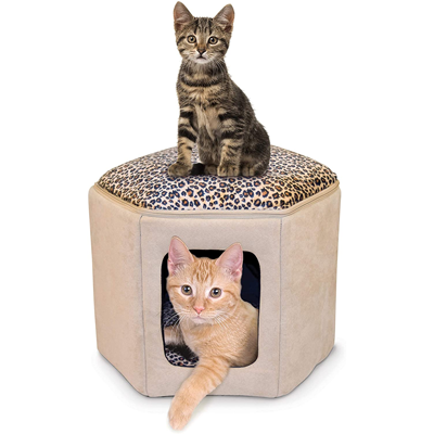 leopard print cat supplies