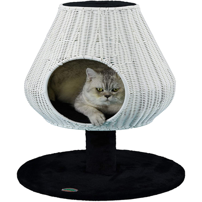 Rattan And Wicker Beds, Cat Trees, Scratching, Posts, And Caves