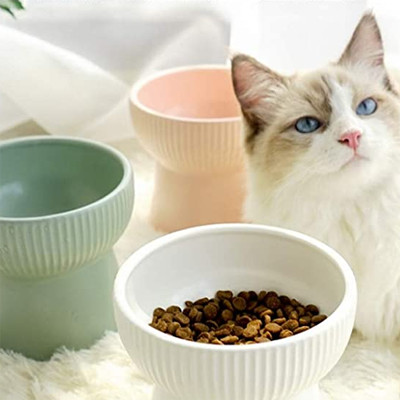 Ceramic Cat Bowls