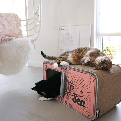 cat scratcher bed