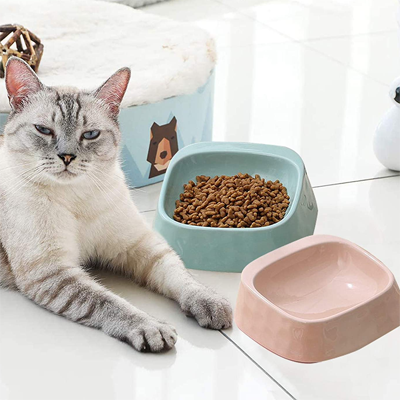 Ceramic Cat Bowls