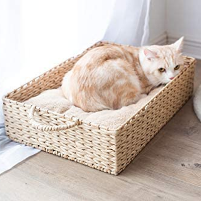 wicker cat bed with scratch post