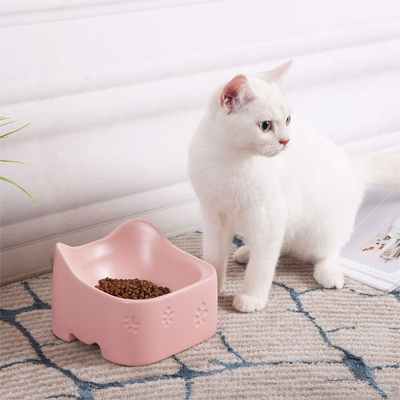 Jonathan Adler: Now House Mint Terrazzo Bowl, Small or Medium - Now House  for Pets Ceramic Dog Bowl - Ceramic Dog Food Bowl, Dog Accessories, Pet  Supplies, Dog Water Bowl, Puppy Bowls