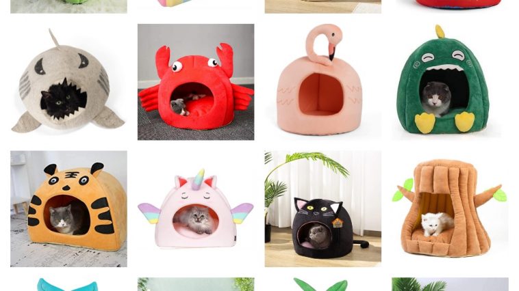 cat caves feature
