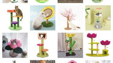 flower cat trees and scratching posts feature