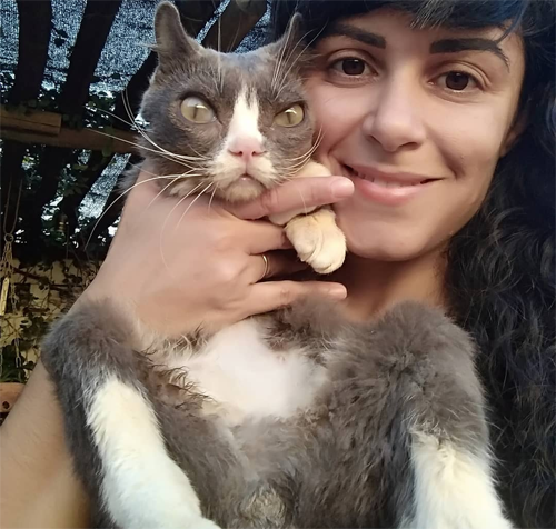 grey and white rescue cat with chromosomal abnormalities