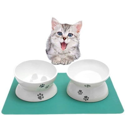 Slow Feeder Cat Bowls