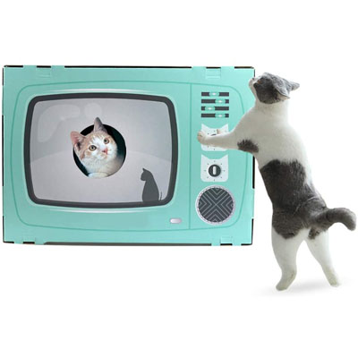 Unique Cat Scratchers