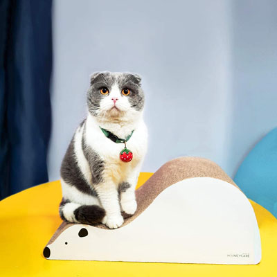 Unique Cat Scratchers