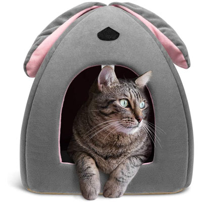 easter cat houses toys beds