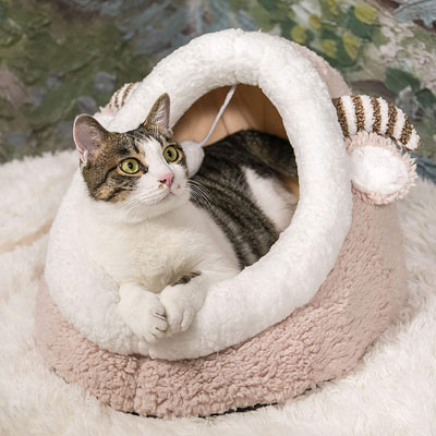 Animal Inspired Cat Beds And Caves