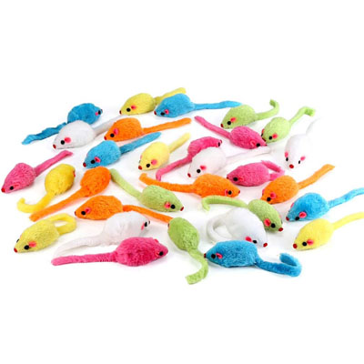 easter cat houses toys beds