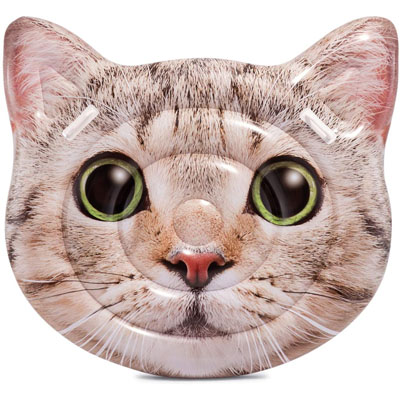 Cat Pool Toys And Floats