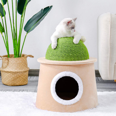 Cactus Cat Scratching Posts, Beds, Caves, Tunnels, And Toys