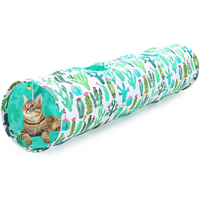 Cactus Cat Scratching Posts, Beds, Caves, Tunnels, And Toys