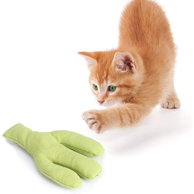 Cactus Cat Scratching Posts, Beds, Caves, Tunnels, And Toys