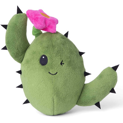 Cactus Cat Scratching Posts, Beds, Caves, Tunnels, And Toys