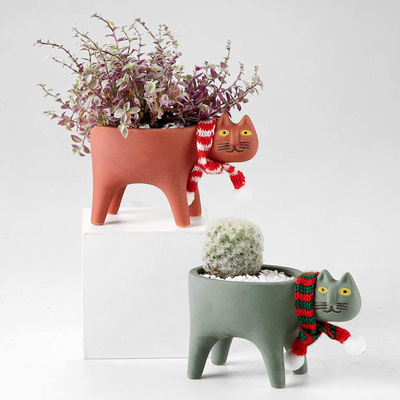 cat planters and pot plants