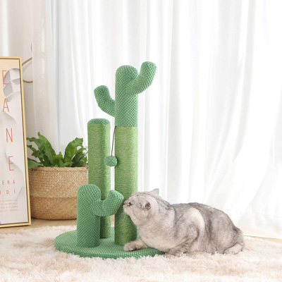 Cactus Cat Scratching Posts, Beds, Caves, Tunnels, And Toys
